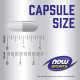 NOW Foods, Sports, beta-alanina, endurance, 750 mg, 120 kapsułek roślinnych
