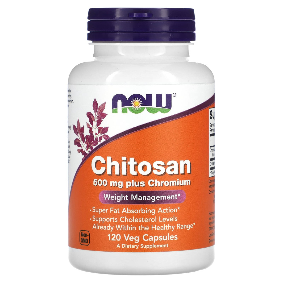 NOW Foods, Chitozan plus chrom, 500 mg, 120 kapsułek wegetariańskich