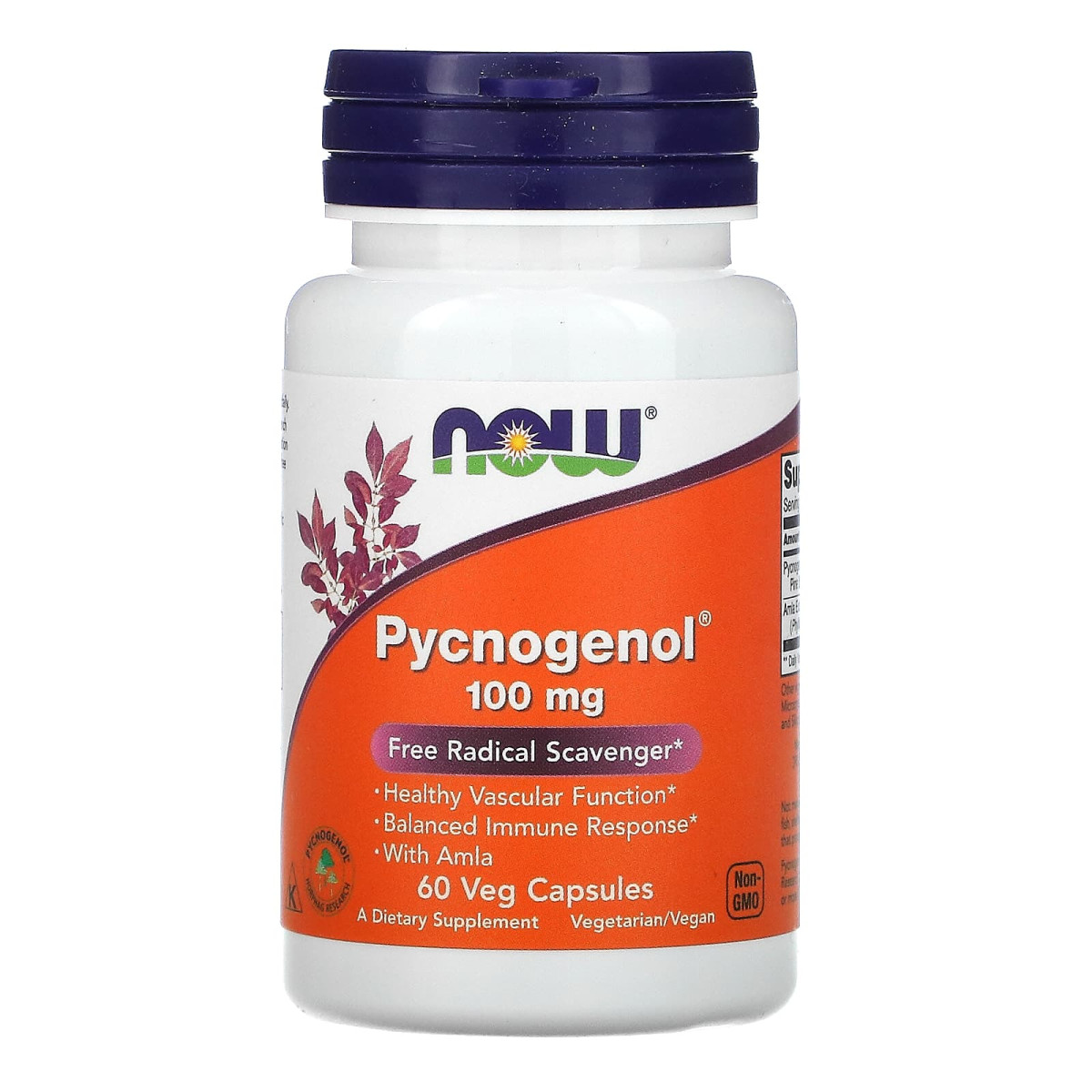 NOW Foods, Pycnogenol, 100 mg, 60 kapsułek roślinnych
