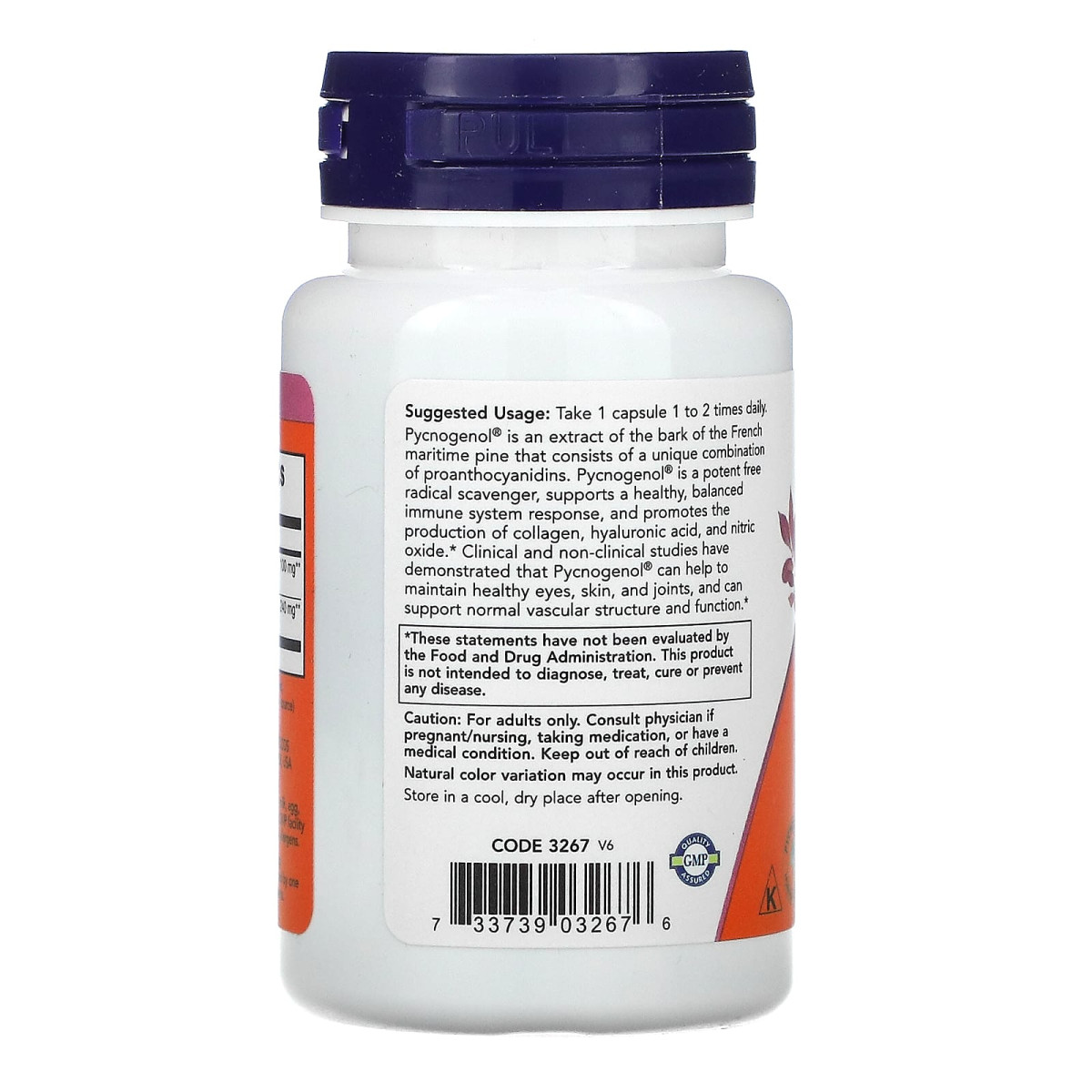 NOW Foods, Pycnogenol, 100 mg, 60 kapsułek roślinnych