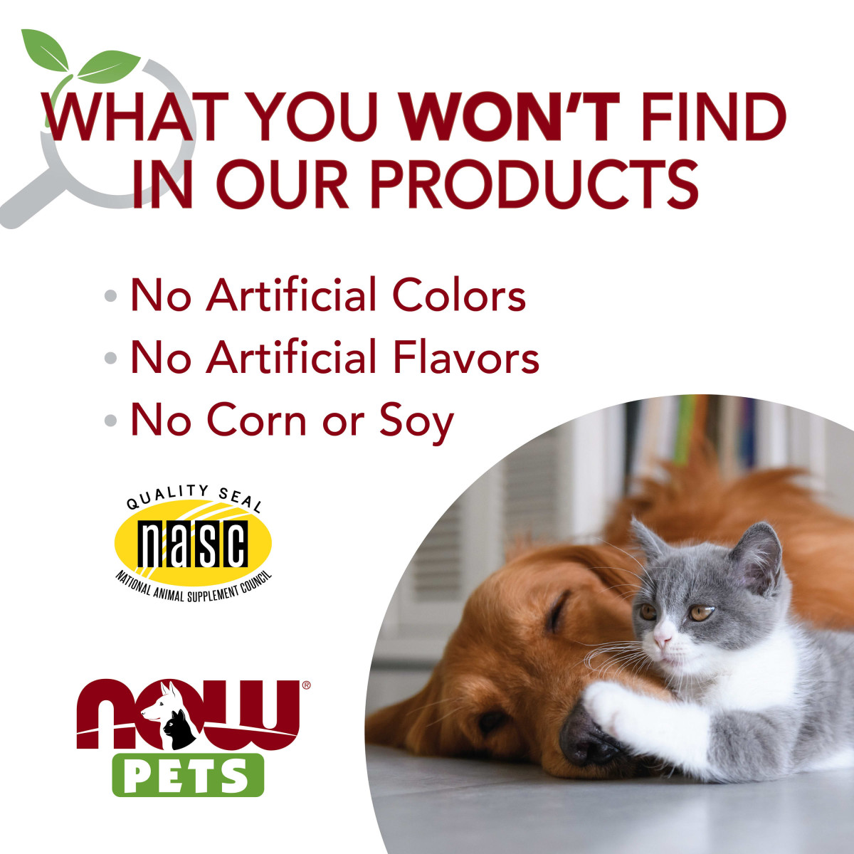 NOW Foods, Pets, L-lizyna dla kotów, 226,8 g